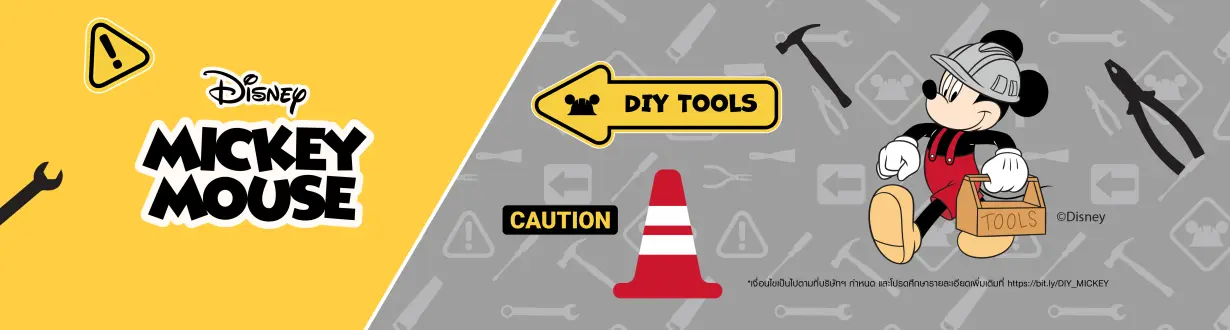 DIY MICKEY2026