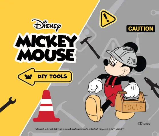 DIY MICKEY2026