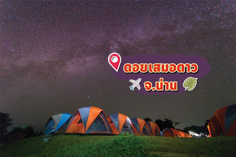 มิสเตอร์. ดี. ไอ. วาย. ชวนฉลองคริสต์มาสสไตล์แคมป์ปิ้ง กับ 10 จุดกางเต็นท์ทั่วไทยช่วงคริสต์มาส