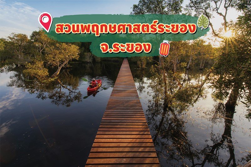 มิสเตอร์. ดี. ไอ. วาย. ชวนฉลองคริสต์มาสสไตล์แคมป์ปิ้ง กับ 10 จุดกางเต็นท์ทั่วไทยช่วงคริสต์มาส