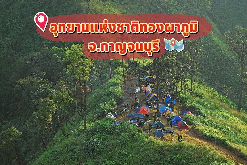 มิสเตอร์. ดี. ไอ. วาย. ชวนฉลองคริสต์มาสสไตล์แคมป์ปิ้ง กับ 10 จุดกางเต็นท์ทั่วไทยช่วงคริสต์มาส