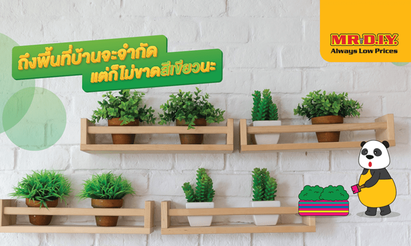 ถึงพื้นที่บ้านจะจำกัด แต่ก็ไม่ขาดพื้นที่สีเขียวนะ