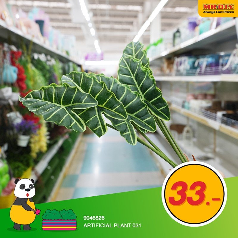 ถึงพื้นที่บ้านจะจำกัด แต่ก็ไม่ขาดพื้นที่สีเขียวนะ