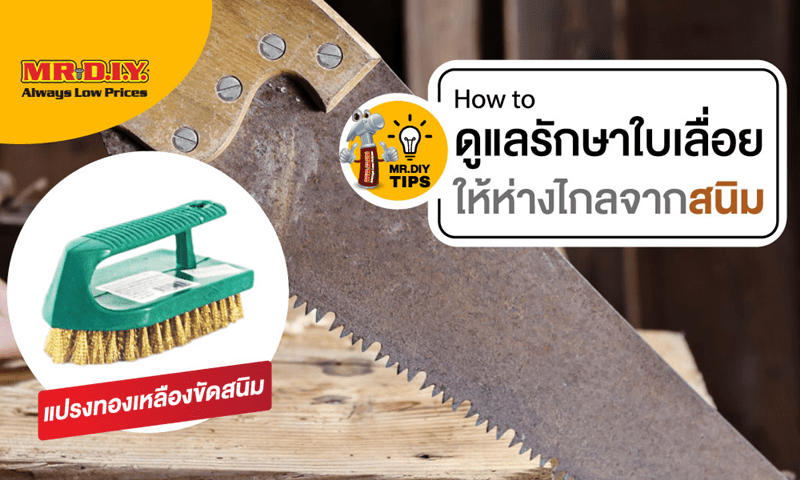 เคล็ดลับการดูแลรักษาใบเลื่อยให้ห่างไกลสนิม