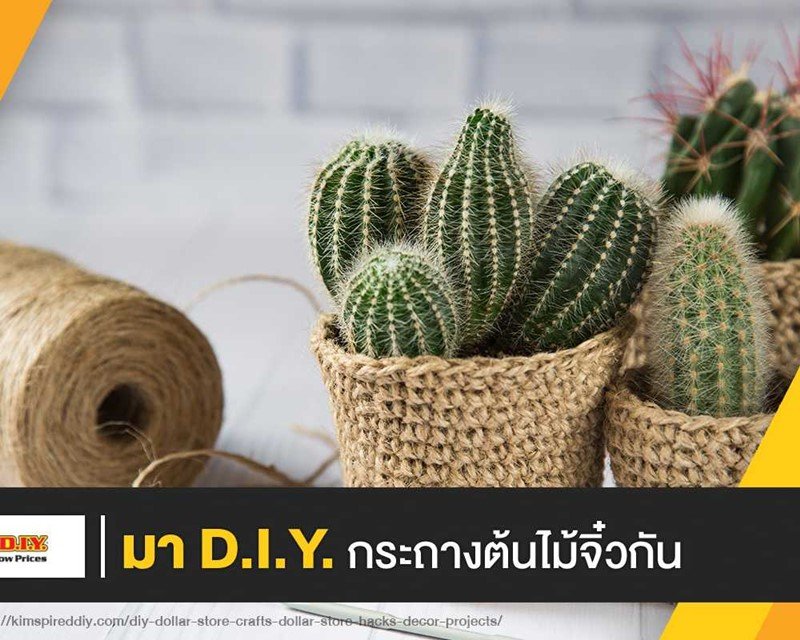 DIY กระถางต้นไม้จิ๋ว หนีฝุ่นมาวุ่นกับต้นไม้กันเถอะ!