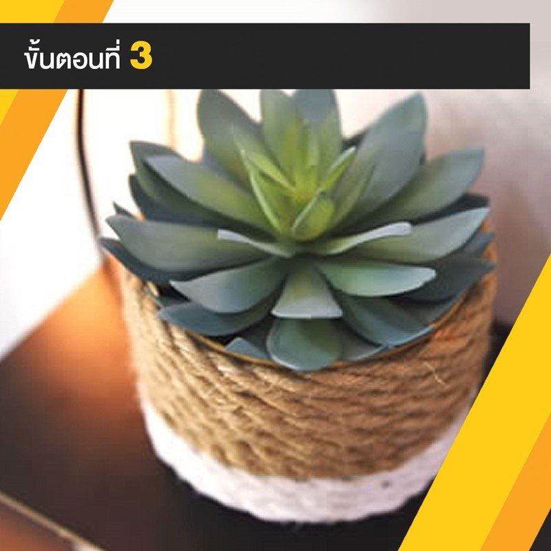 DIY กระถางต้นไม้จิ๋ว