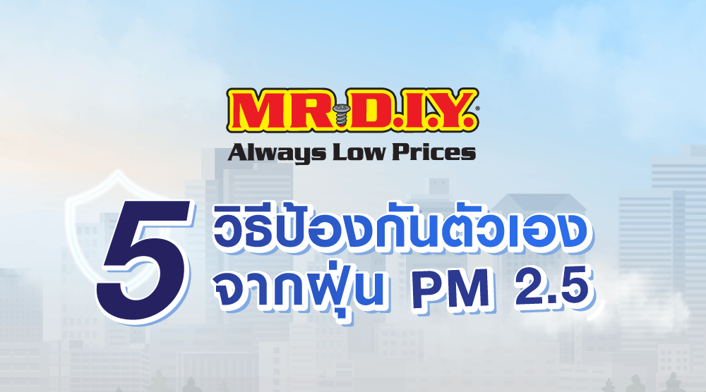 5 วิธีป้องกันตัวเองจากฝุ่น PM 2.5